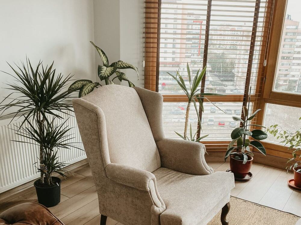 A comfortable armchair beside a sunlit window in a therapy room